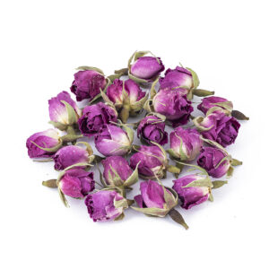 غنچه گل محمدی